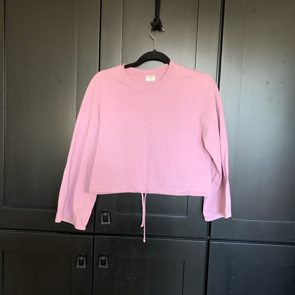 Wilfred Light Pink Crop Top